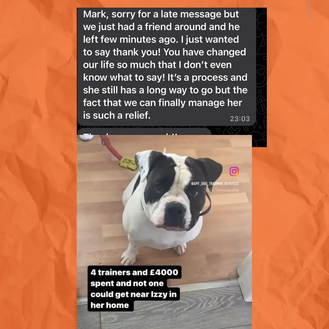 Izzy - Successfully Managed after 4 Previous Trainers Failed