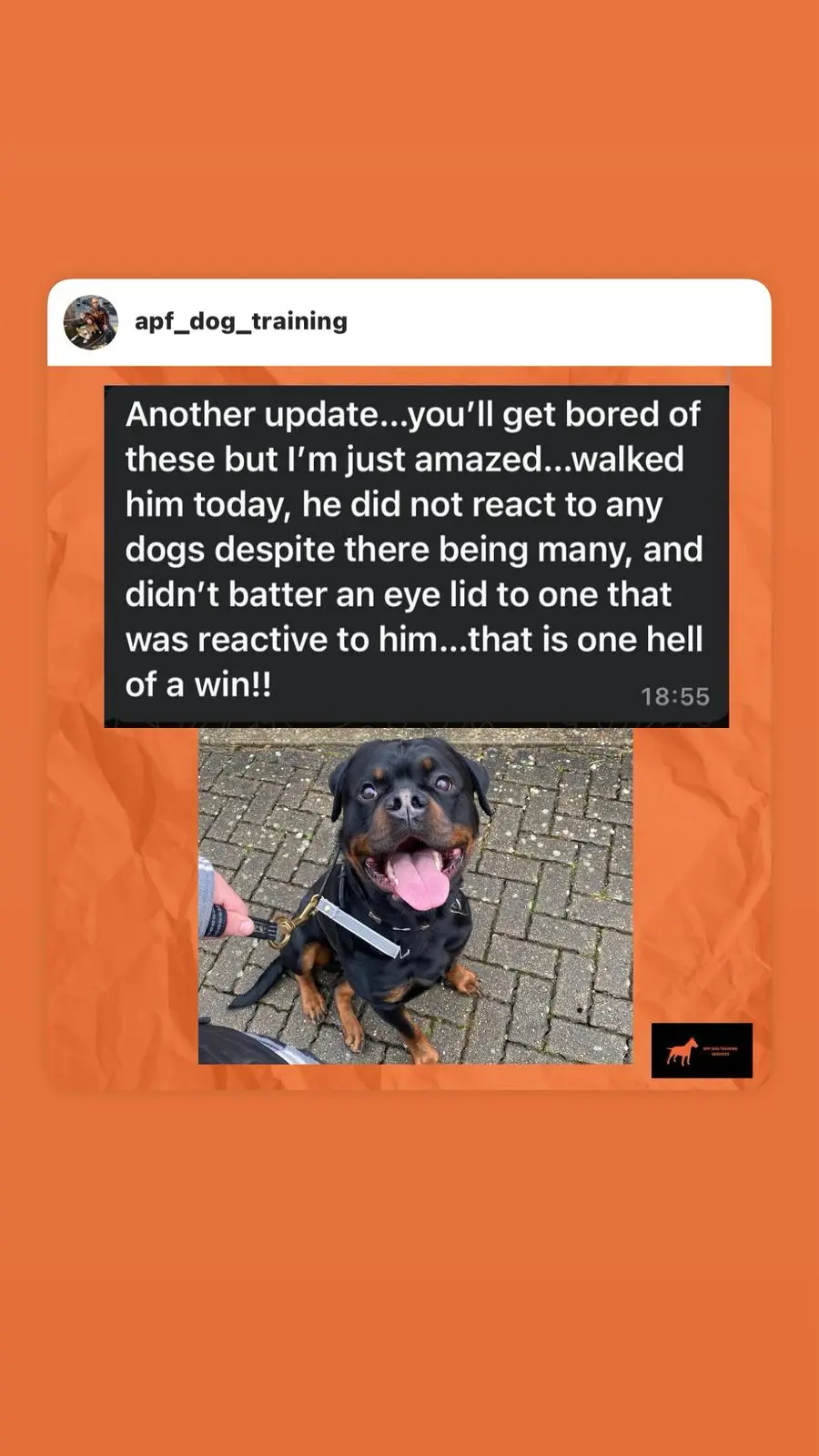 Success Story - Non-reactive Walking Win